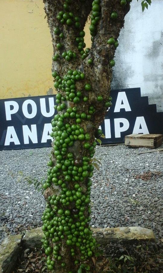 Pousada Ana Poipa ゴイアニア エクステリア 写真
